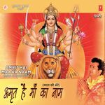 Amrit Hai Maa Ka Naam - Javed Song Download