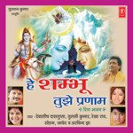 Hey Shambhu Tujhe Pranam - Javed Song Download